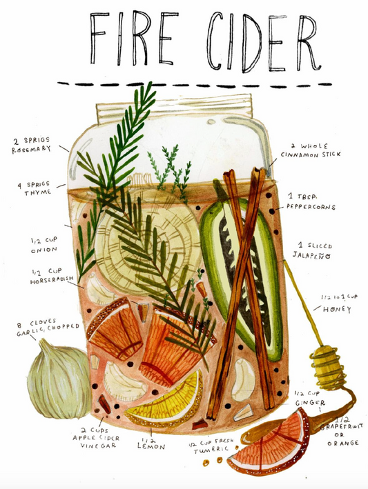 Illustrated recipe for Fire Cider with labeled ingredients like herbs, citrus, spices, and apple cider vinegar.