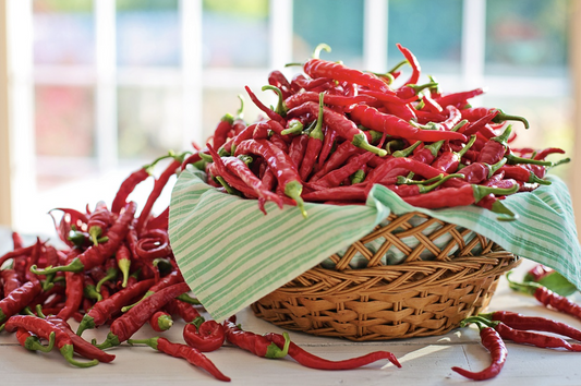 Wicker basket lined with green-striped cloth overflowing with fresh red chili peppers on a sunny table.