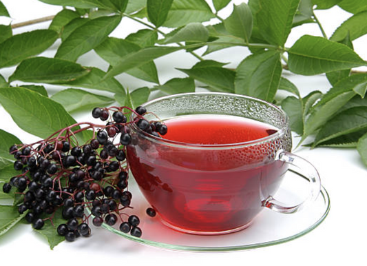 Elderberry Fire Brew Peppermint Echinacea Tea: