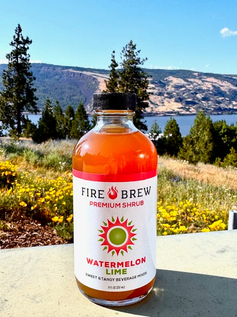 Limited Run! Watermelon Lime Apple Cider Vinegar Elixir - Shrub
