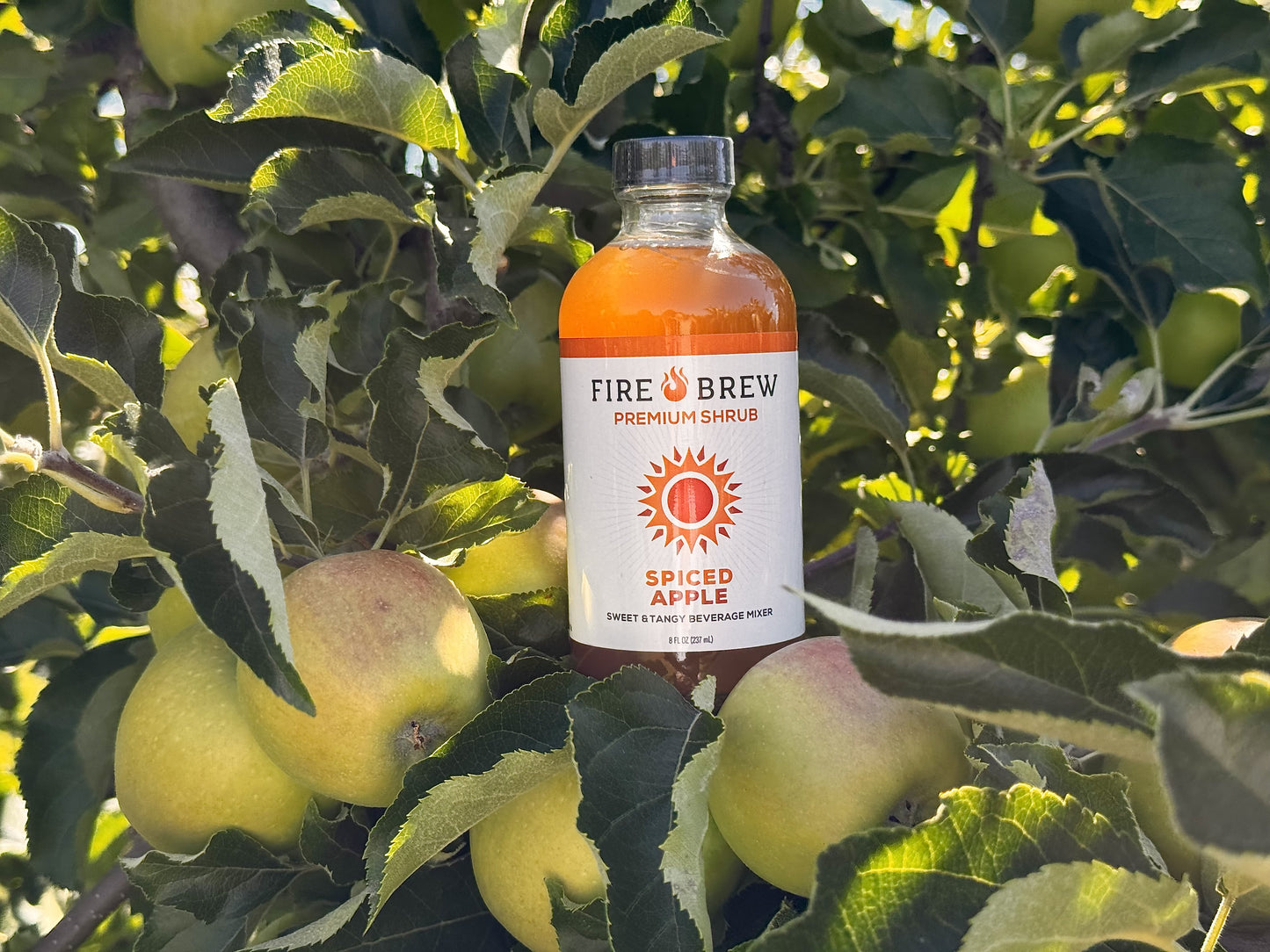 Limited Run! Spiced Apple Apple Cider Vinegar Elixir - Shrub
