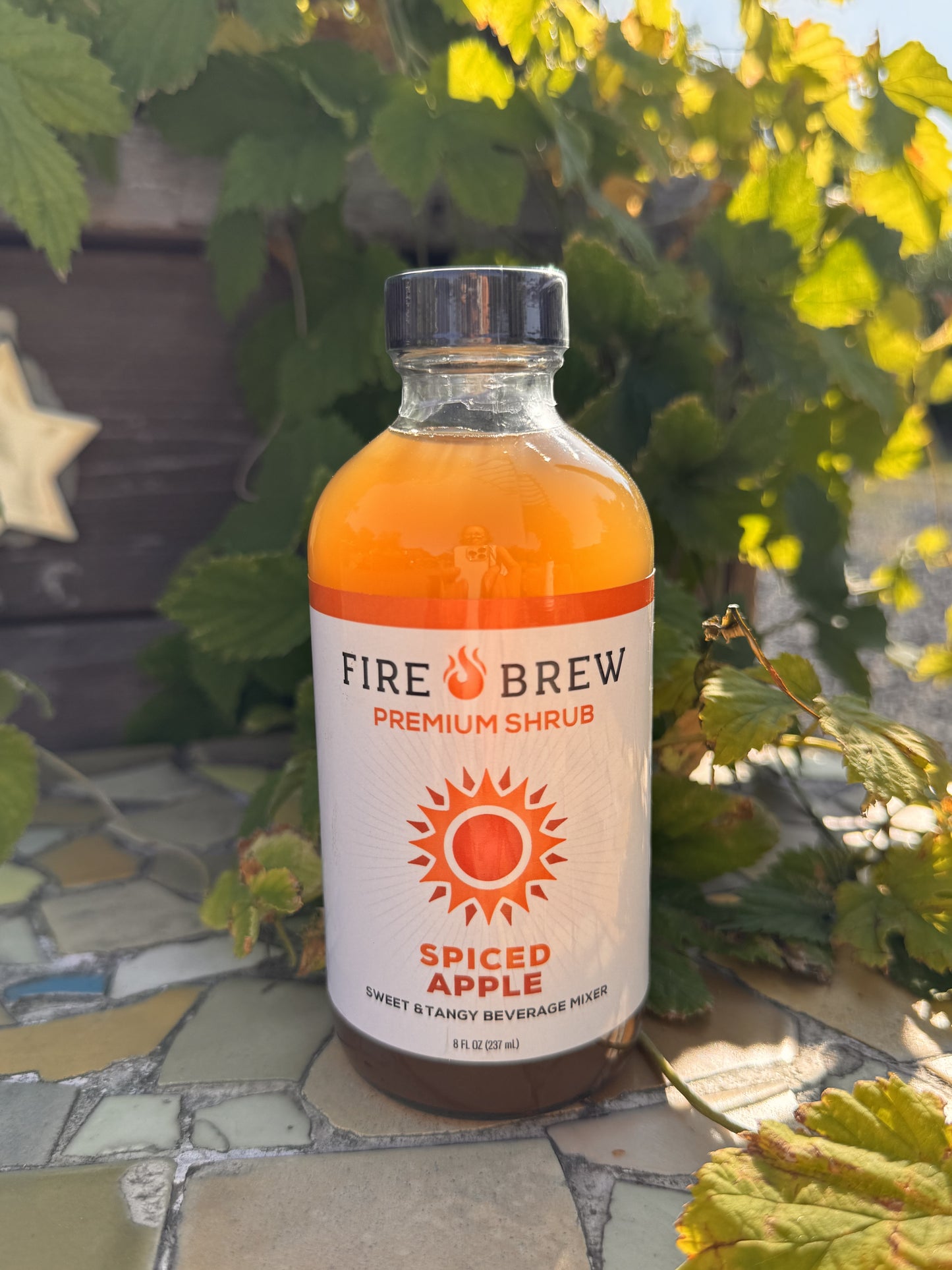 Limited Run! Spiced Apple Apple Cider Vinegar Elixir - Shrub